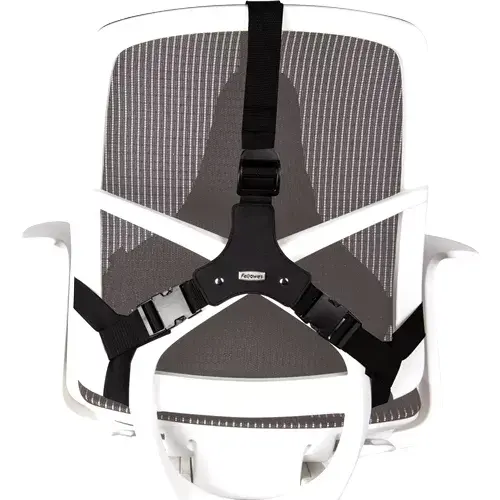 Tīkla muguras balsts Fellowes Professional Series Ultimate Back Support Photo 2