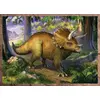 TREFL 4in1 Dinozauri puzļu komplekts Photo 3