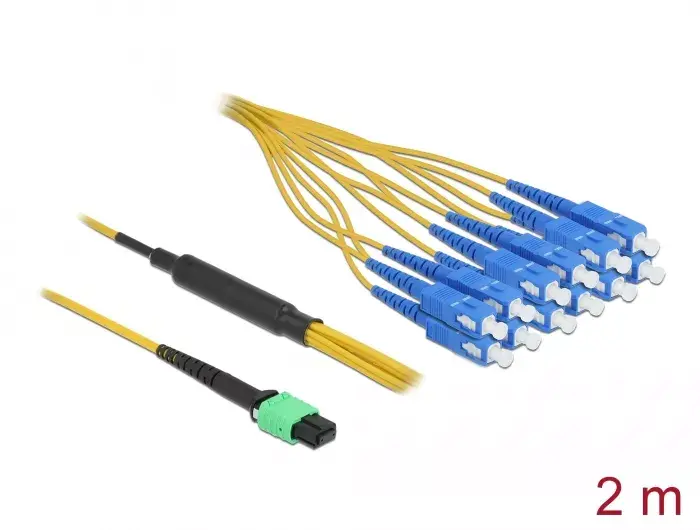 Optical Fiber Cable DeLOCK 84871 Photo 2