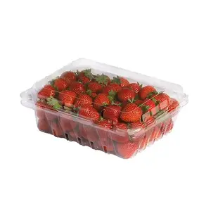 Zemenes 500 g, 1. šķira — iepakojums mazumtirdzniecībai