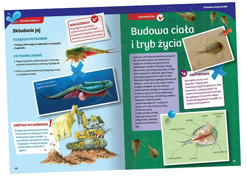 Piatnik Radošais komplekts — Triopsu audzēšana Photo 3