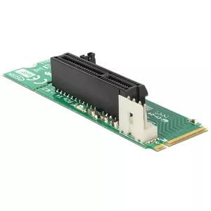 Internal M.2 Adapter DeLOCK 62584
