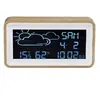 Digital Weather Station Denver WS-72 Photo 2