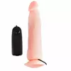 Dildo BAILE D194029 Photo 3