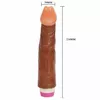 Vibrator BAILE Silicone Brown 23 cm Photo 5