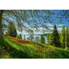 Puzzle Schmidt Spiele Contour 58967 — 1000 pcs Photo 2