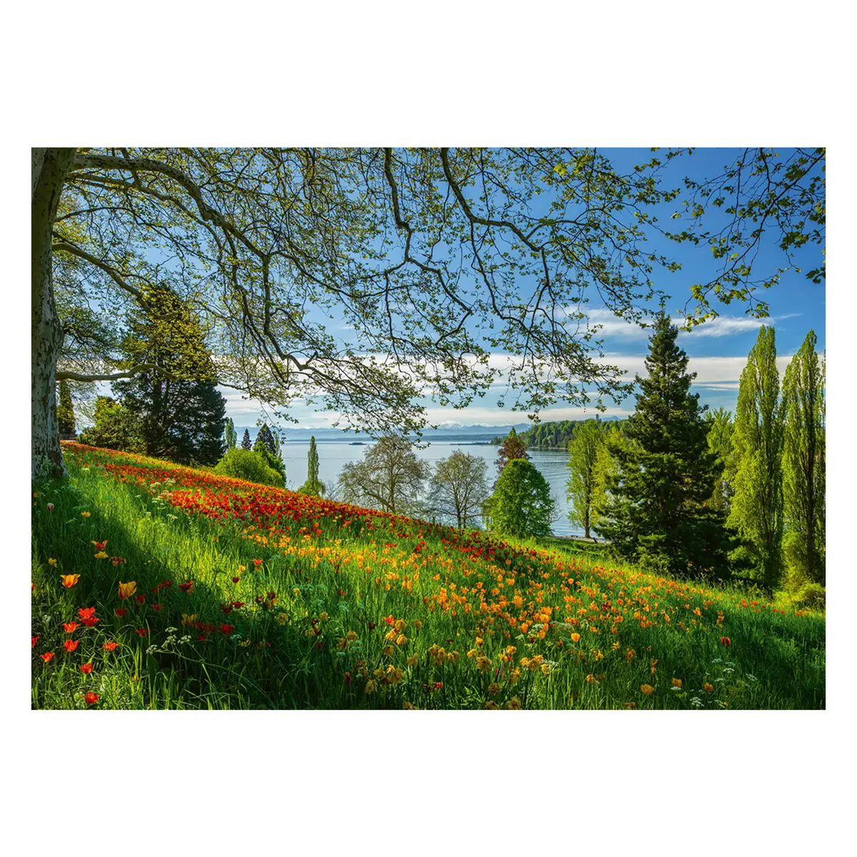 Пазл Schmidt Spiele Spring Avenue Остров Майнау 1000 элементов Photo 3