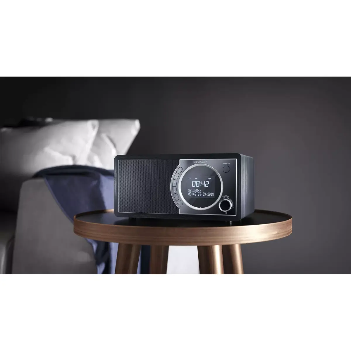 Personal Radio Sharp DR-450 Photo 5