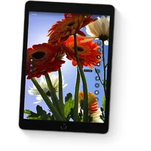 Shoots, edits and shares. Oh my.