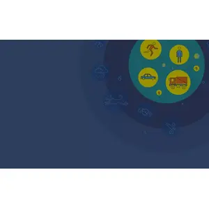 Human and Vehicle Intrusion