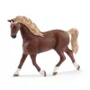 Animal Schleich HORSE CLUB Washing Area with Emily & Luna Photo 4