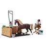 Animal Schleich HORSE CLUB Washing Area with Emily & Luna Photo 7
