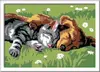 Ravensburger CreArt Krāsošana pēc numuriem — Gulošie kaķi un suņi Photo 2