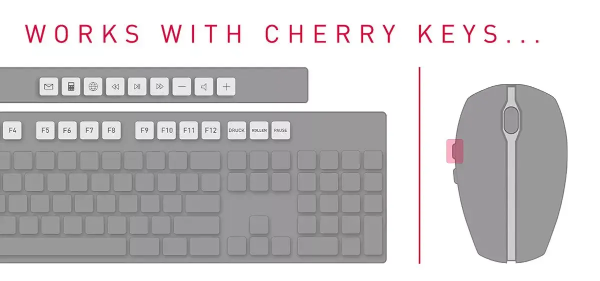 Keyboard CHERRY DW 5100 Photo 3