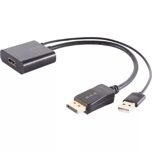 HDMI to DisplayPort adapter ShiverPeaks 10-01011, 4K, 30 cm cable
