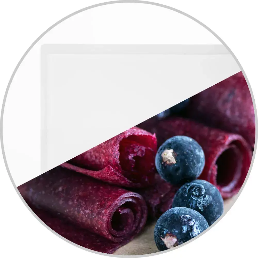 GASTROBACK Design Pro Food Dehydrator Photo 9