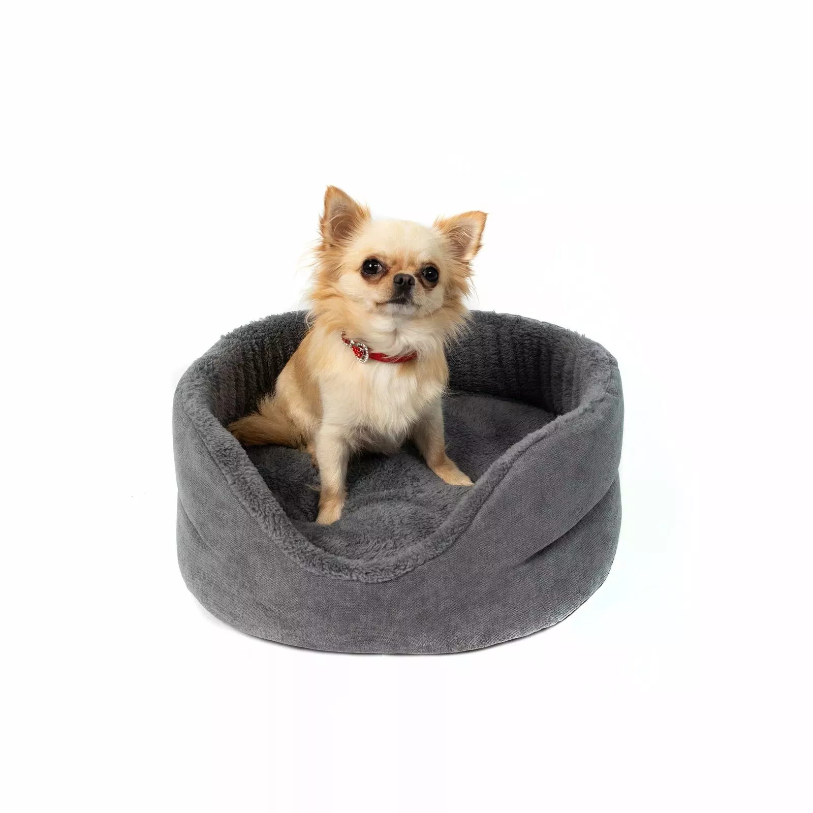 lv dog bed, extra large dog bed