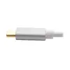 USB-C Doks Tripp Lite U442-DOCK2-S Photo 10