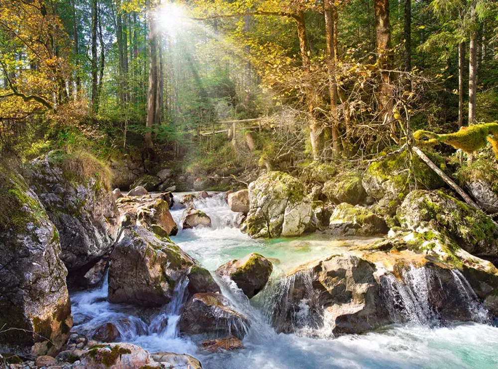Castorland puzle The Forest Stream 2000 gab. Photo 2