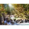 Castorland puzle The Forest Stream 2000 gab. Photo 2