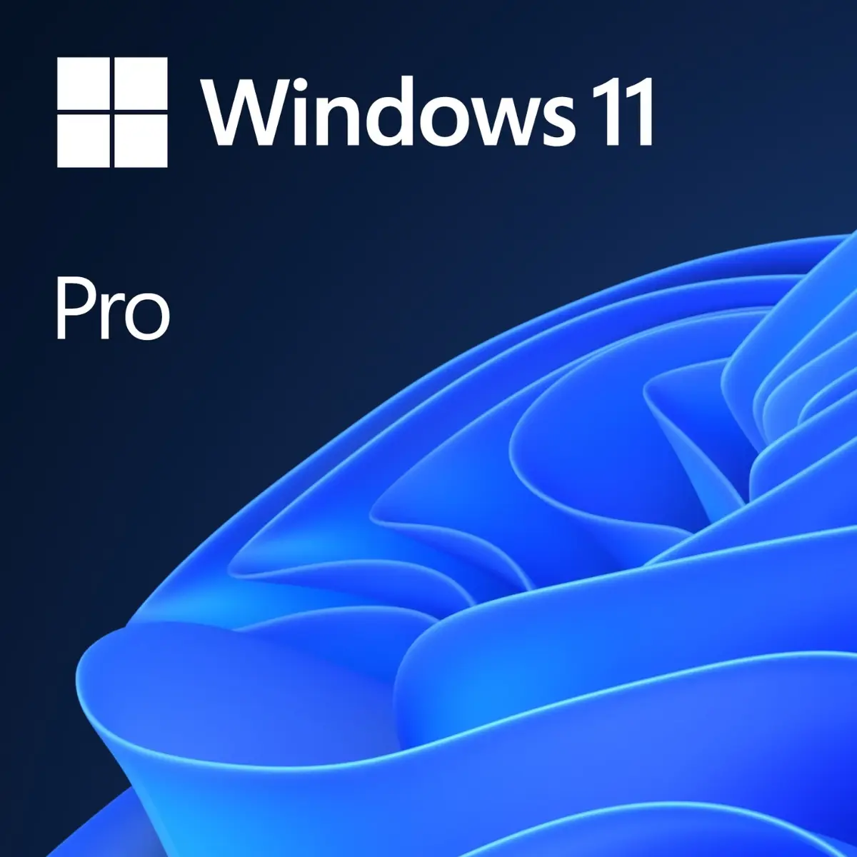 Microsoft Windows 11 Pro 1 licence operētājsistēma Photo 2