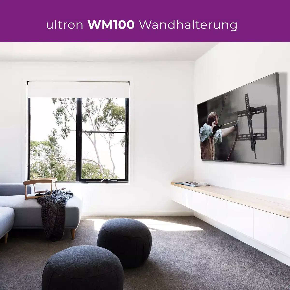 Wall Mount Ultron WM100 Photo 7