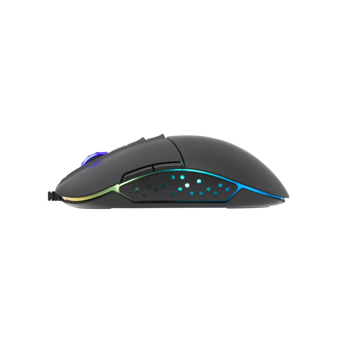 Mouse White Shark ARTHUR Photo 2