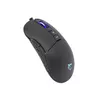 Mouse White Shark ARTHUR Photo 5