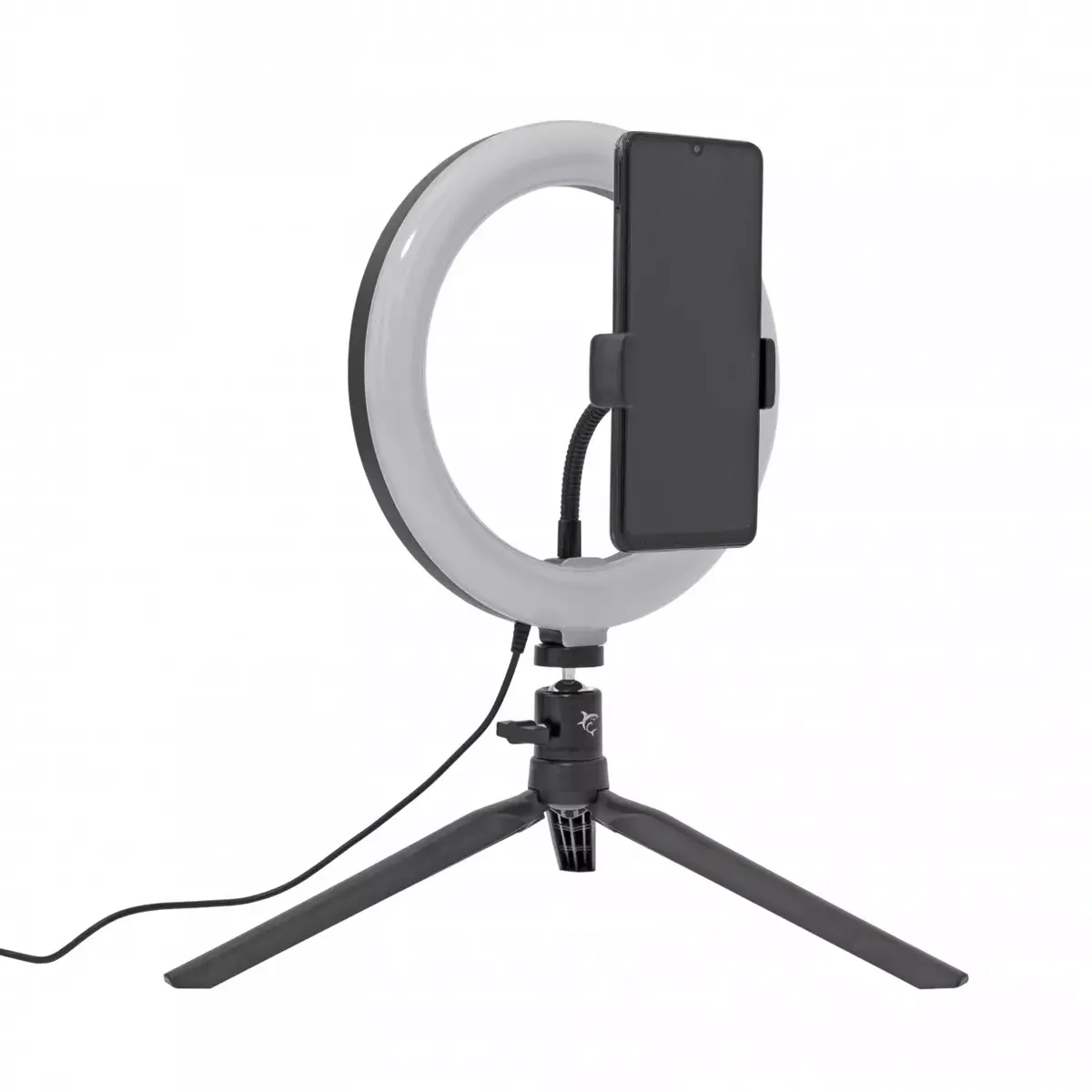 Lighting ring LED White Shark Moonlight Photo 2
