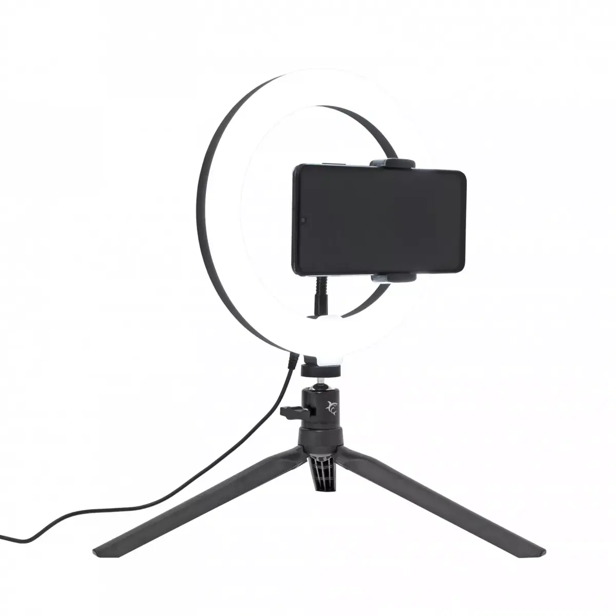 Lighting ring LED White Shark Moonlight Photo 4