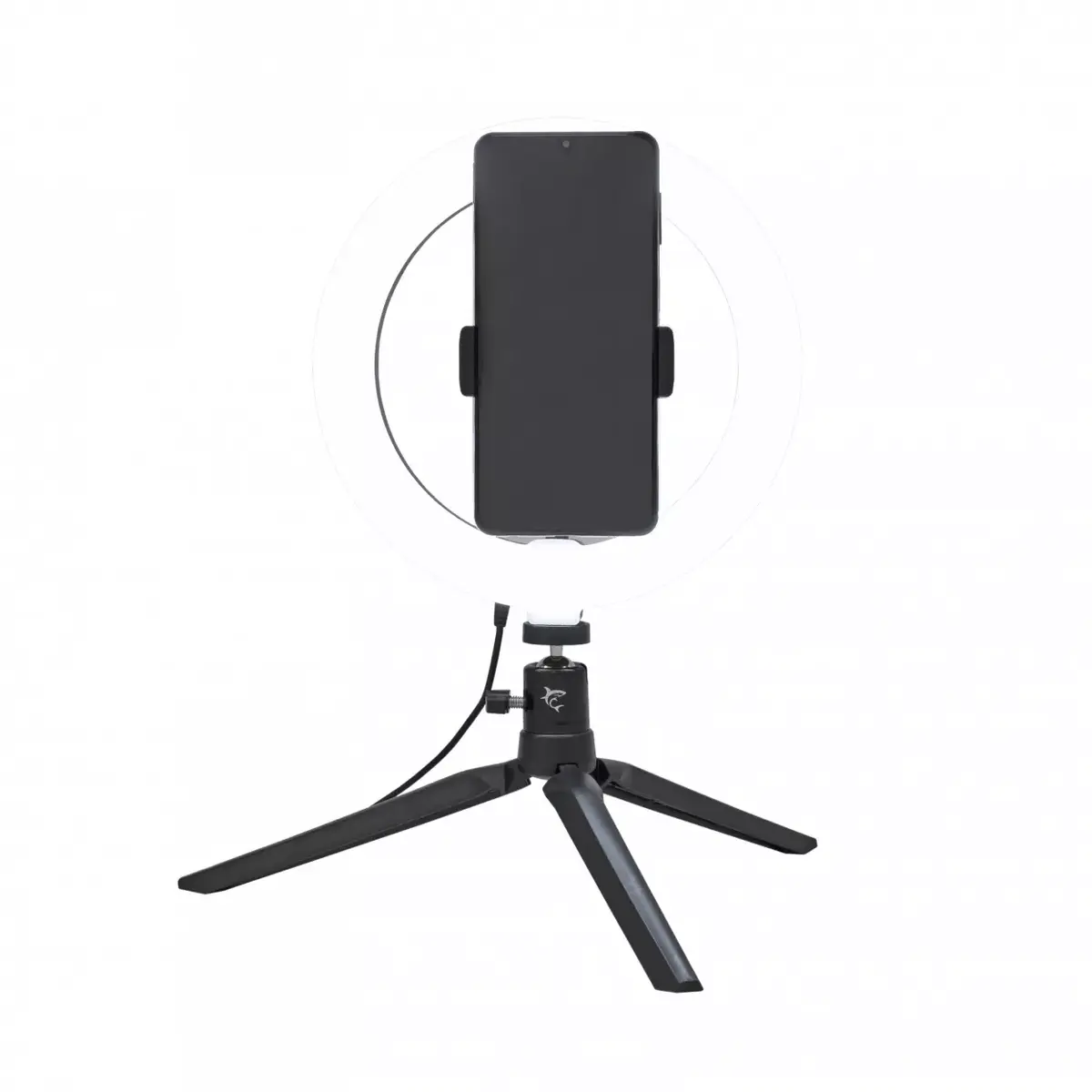 Lighting ring LED White Shark Moonlight Photo 5