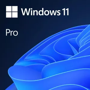 Microsoft Windows 11 Pro 1 лицензия(и)