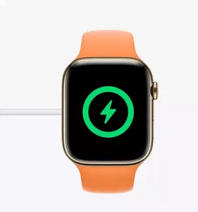 Fast Charging Capability