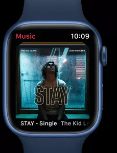 Music and Audio Entertainment