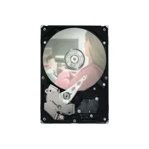 Seagate Pipeline HD 320GB 3.5" SATA II 3.5" Serial ATA II