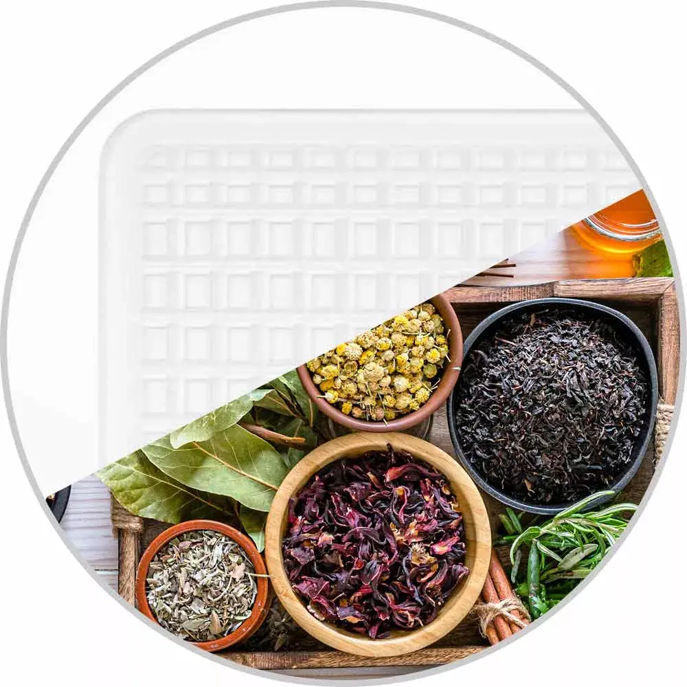 GASTROBACK Design Max Food Dehydrator Photo 7