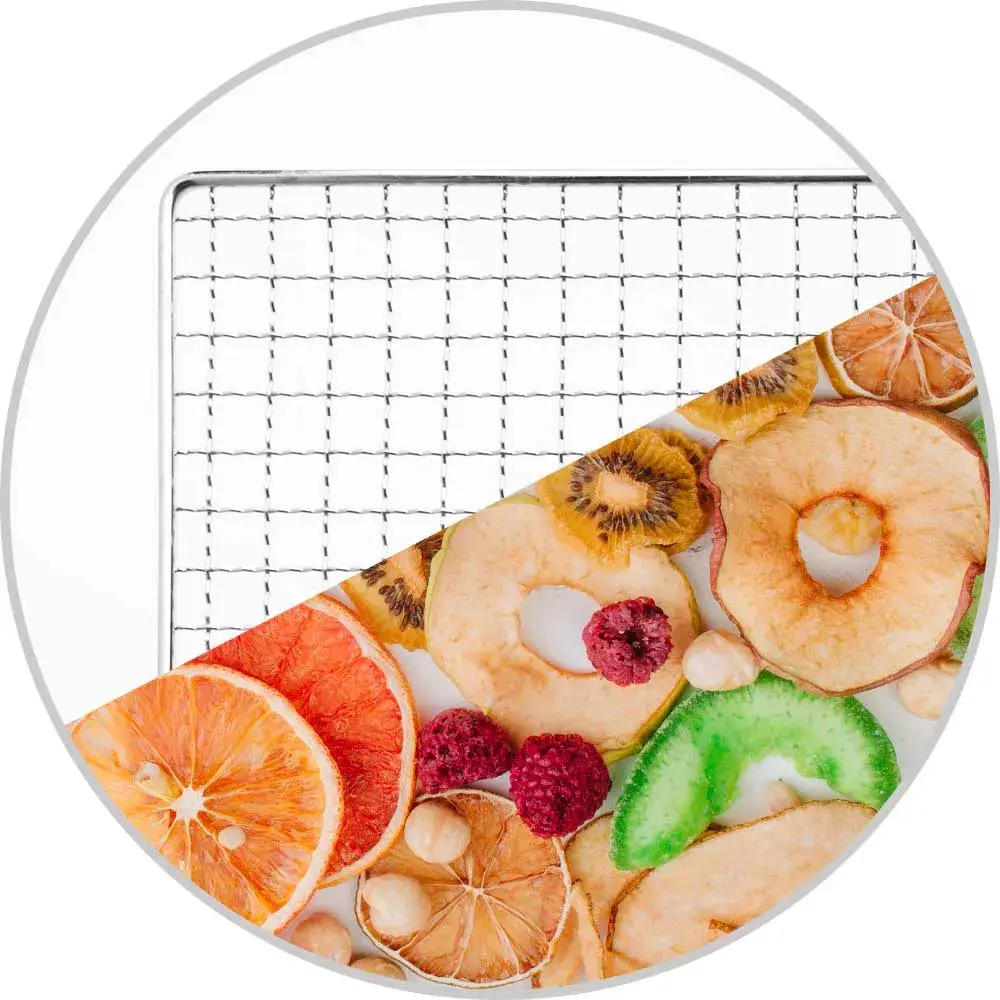 GASTROBACK Design Max Food Dehydrator Photo 11