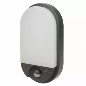 LED lamp MACLEAN MCE340G 15W 1100 lm — exterior LED lighting