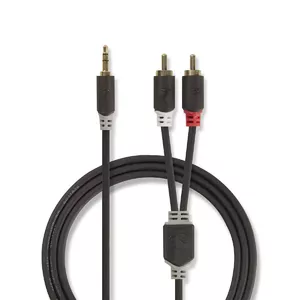 Nedis CABW22200AT10 аудио кабель 1 m 3,5 мм 2 x RCA Антрацит