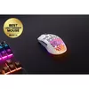 Мышь Steelseries Aerox 3 Wireless Photo 4
