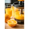 Citrusaugļu spiede Camry Premium CR 4008 Photo 3
