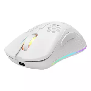Игровая мышь Deltaco GAM-120-W RF Wireless USB Type-C