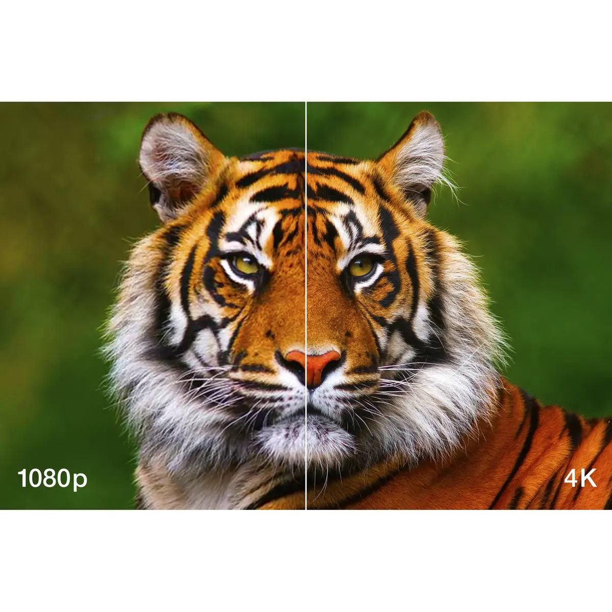 Проектор Epson V11HA48040 Photo 11