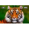 Проектор Epson V11HA48040 Photo 21