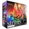 Умная гирлянда Twinkly TWS400SPP-BEU Photo 2