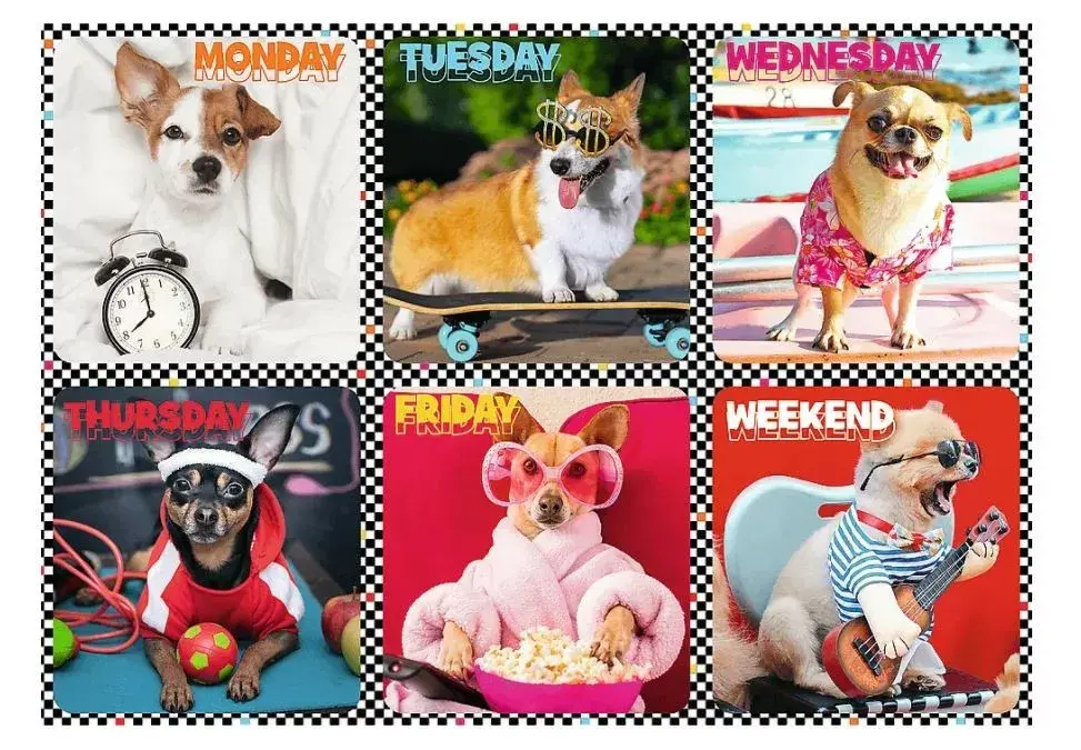 TREFL Happy Dogs — пазл 200 элементов 13279 Photo 3
