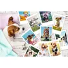 Пазл 300 элементов TREFL Dogs Holiday pictures Photo 2