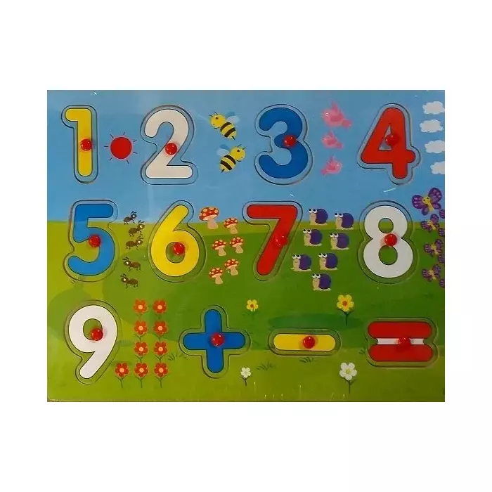 Educational Toys & Puzzles