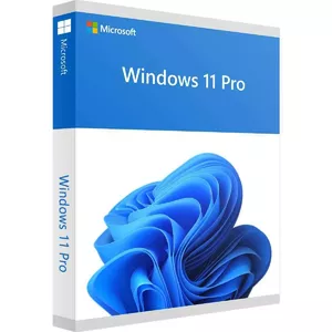 Microsoft Windows 11 Pro for Workstations 1 licence(-s)