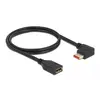 Кабель-удлинитель DisplayPort DeLOCK 87073 Photo 2